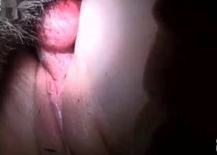 Doggy fucking like crazy