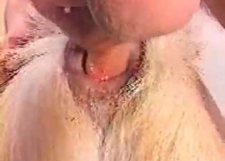 Amateur animal fucking session