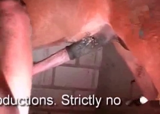 Amazingly massive horse dong