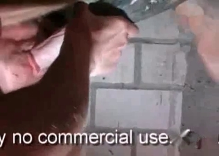 Amazingly massive horse dong