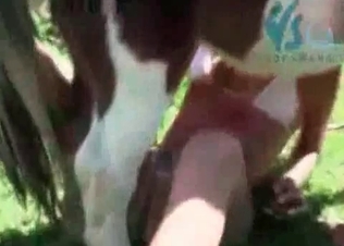 Horse cock serviced by two sluts