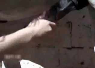 Amazingly big and thick horse cock
