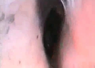 Cute horse fucking its owner on cam