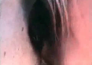 Cute horse fucking its owner on cam