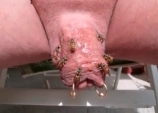 Incredible dirty insects action