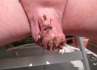 Incredible dirty insects action