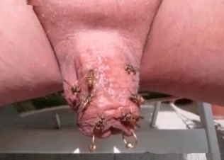 Incredible dirty insects action