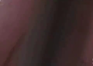 Horny dog fucking like crazy