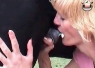 Cumshot animal compilation