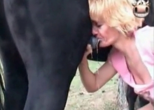 Cumshot animal compilation