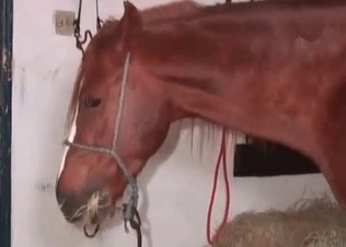 Hot barn undressing action