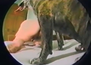 Pussy being licked by a puppy