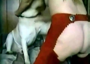 Horny adorable hussy and a bowwow