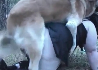 Dogs fucking two sluts