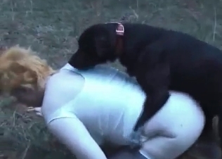 Dogs fucking two sluts