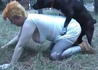 Dogs fucking two sluts