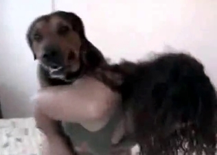 Amazingly sensual dog