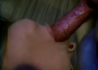 Animal sex for a hot dog