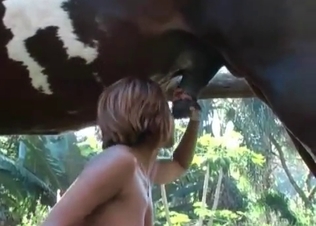 Huge horse cock being sucked