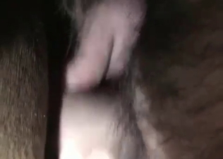 Horse fucking in the barn