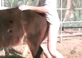 This animal loves being fucked