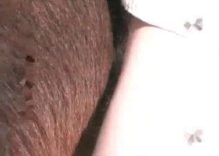 This animal loves being fucked