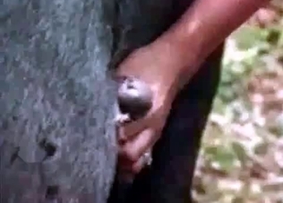 Stacked slut loves animals