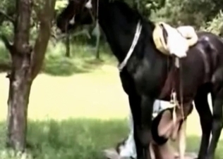 Double penetration with a horse