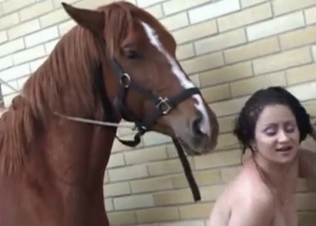 Horse fucking this kinky bitch
