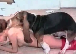 Nude whore fucking with a tiny dog