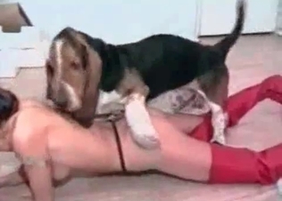 Nude whore fucking with a tiny dog