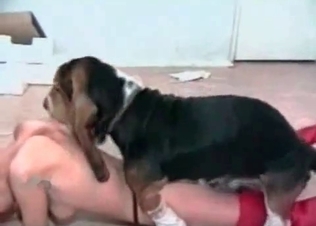 Nude whore fucking with a tiny dog