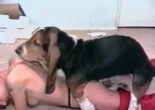 Nude whore fucking with a tiny dog