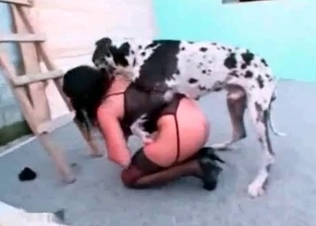 Beautiful brunette fucking a dog
