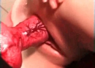 Incredibly sensual blowjob for a dog