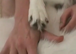 Husky getting really dirty