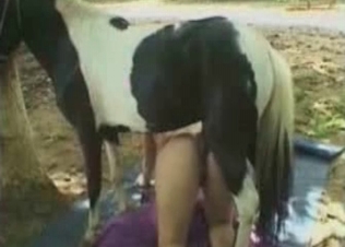 Horse and incredible masturbation