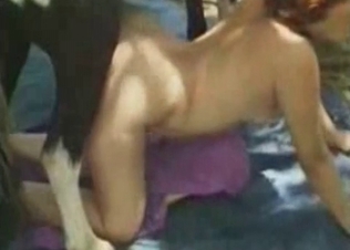 Horse and incredible masturbation