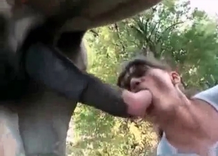 Amazing fucking with animals