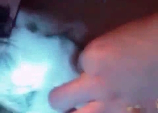 Zoo sex for a husky