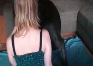 Bedroom sex for a horny black puppy