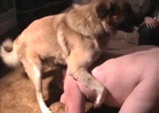 Dog fuck this phat ass