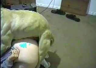 Good doggie gets its reward