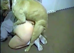 Good doggie gets its reward