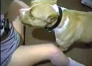 Good doggie gets its reward