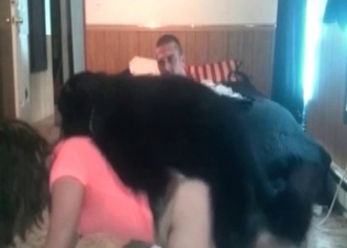 Tight pussy railed by a hot hound