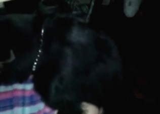 Tight pussy railed by a hot hound