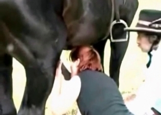 Amazing titjob for a horse