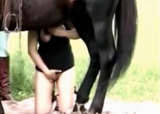 Amazing titjob for a horse