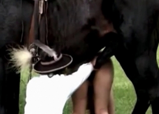 Amazing titjob for a horse